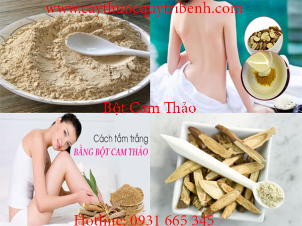 mua-ban-bot-cam-thao-o-dau-tai-tp-hcm-uy-tin