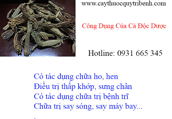 mua-ban-ca-doc-duoc-tai-tp-hcm-chat-luong