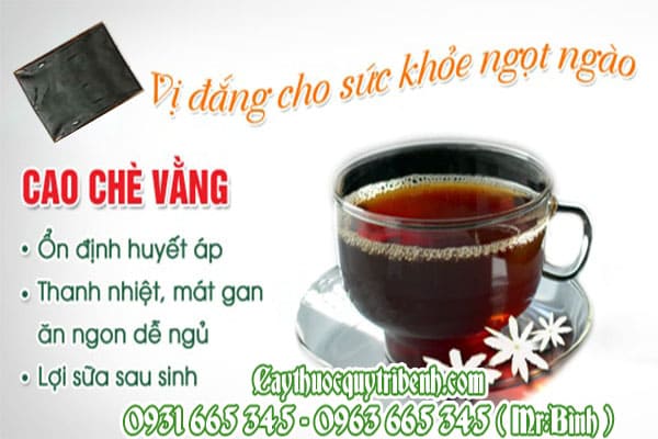 cao chè vằng Thanh Bình