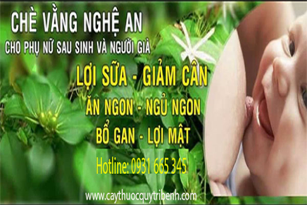 mua-ban-cay-che-vang-o-dau-tai-tp-hcm-uy-tin