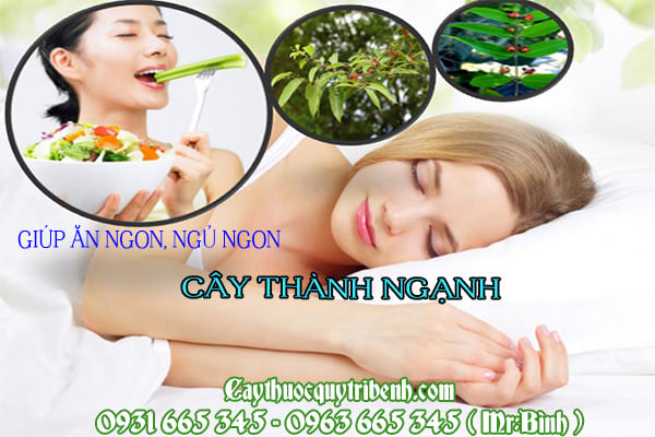 cây thành ngạnh