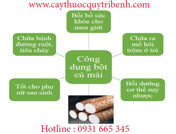 cu mai hoài sơn