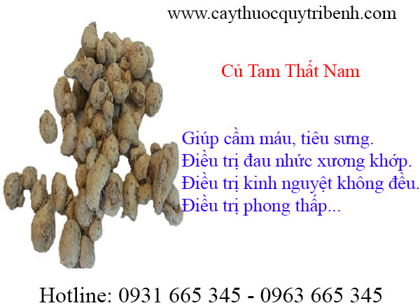 mua-ban-cu-tam-that-nam-tai-tp-hcm-chat-luong-nhat