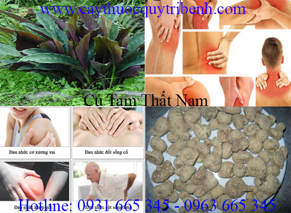 mua-ban-cu-tam-that-nam-uy-tin-nhat-tai-tp-hcm