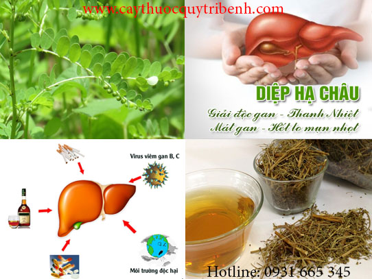 diệp hạ châu