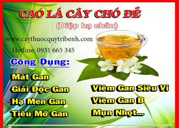 diệp hạ châu