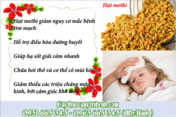 hạt methi