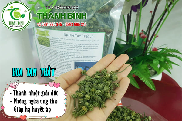 hoa tam thất thanh bình