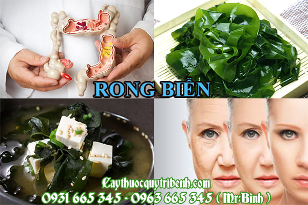Rong biển