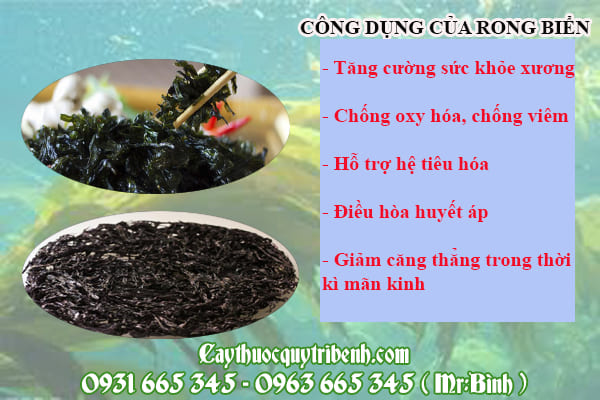 Rong biển