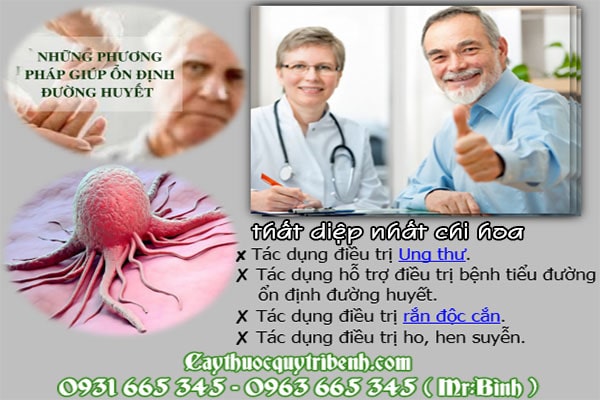 sâm 7 lá - thất diệp nhất chi hoa