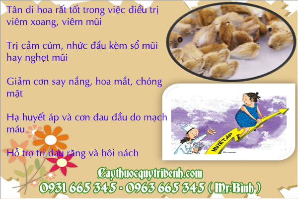 tân di hoa