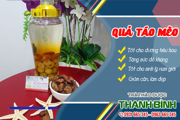 qua-tao-meo-thanh-binh