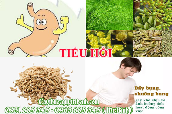 Tiểu Hồi