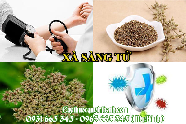 Xà sàng tử