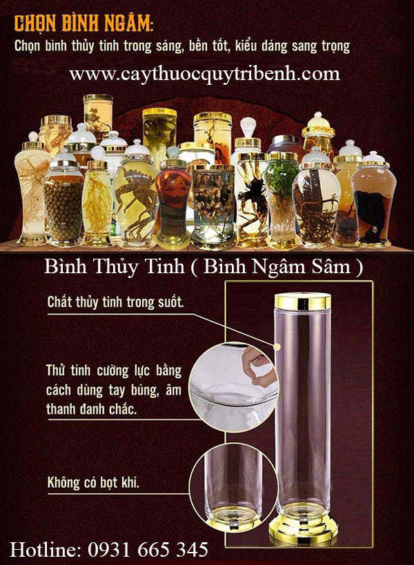 mua-binh-thuy-tinh-binh-ngam-sam-tai-tp-hcm-chat-luong-nhat
