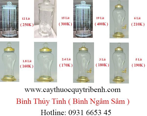 mua-binh-thuy-tinh-binh-ngam-sam-tai-tp-hcm-uy-tin-nhat