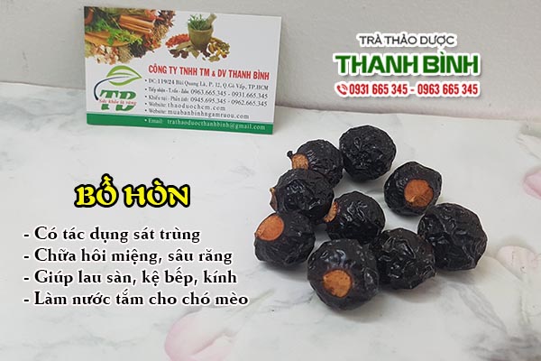 Bồ hòn Thảo Dược Thanh Bình