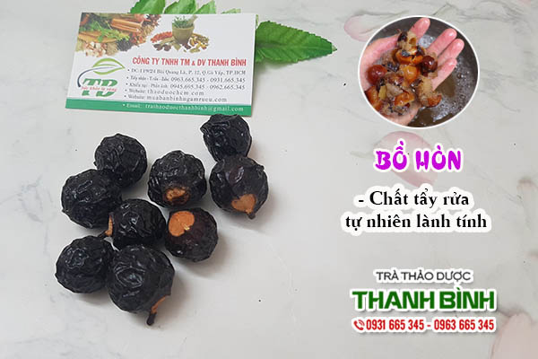 Bồ hòn Thảo Dược Thanh Bình