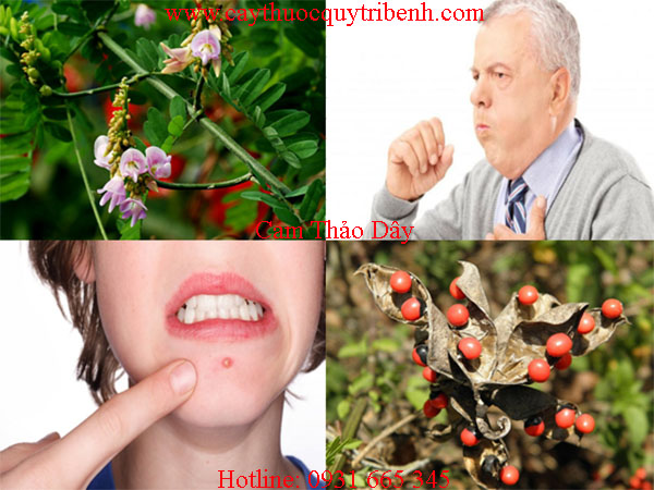 mua-cam-thao-day-o-dau-tai-tp-hcm
