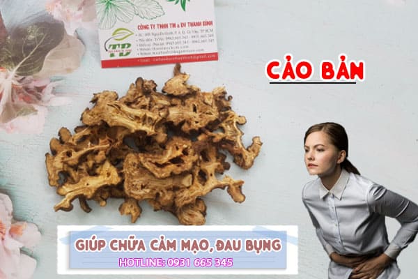 cảo bản Thảo Dược Thanh Bình