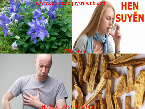 mua-cat-canh-o-dau-tai-tp-hcm-uy-tin-nhat