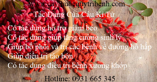 câu kỉ tử