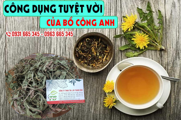 bồ công anh thanh bình