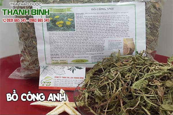 bồ công anh thanh bình