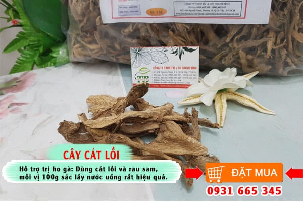 Cây cát lồi Thảo dược Thanh Bình