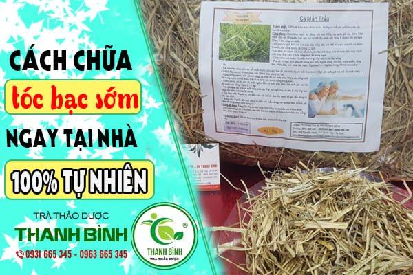 cỏ mần trầu thảo dược thanh bình