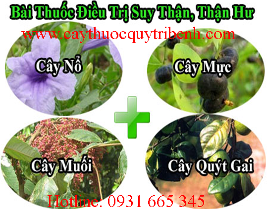 mua-cay-muoi-o-dau-tai-tp-hcm-uy-tin-chat-luong