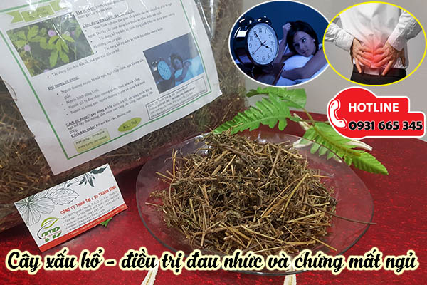 cay-xau-ho-thanh-binh