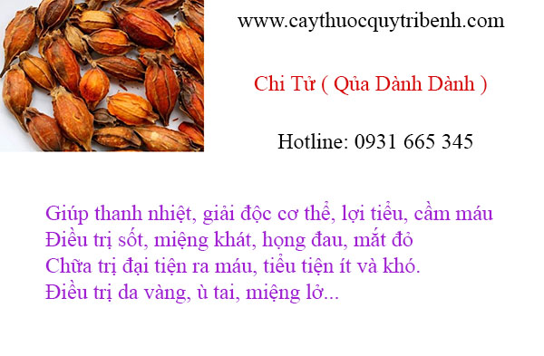 mua-chi-tu-qua-danh-danh-uy-tin-chat-luong-tai-tp-hcm