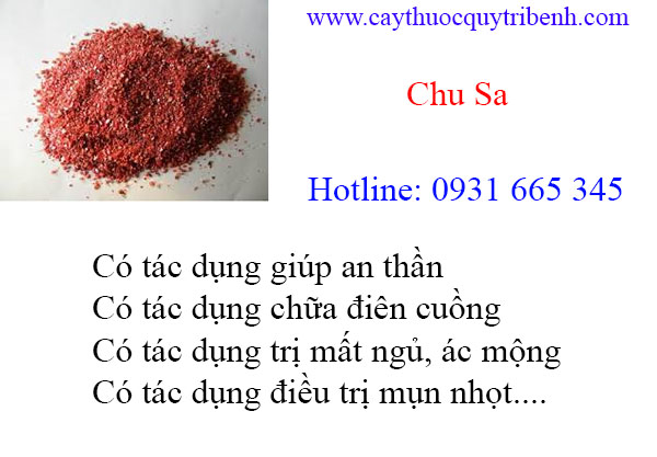 mua-chu-sa-tai-tp-chat-luong-nhat.