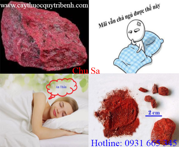 mua-chu-sa-tai-tp-uy-tin-chat-luong-nhat