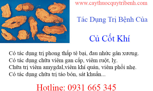 mua-cu-cot-khi-chat-luong-tai-tp-hcm