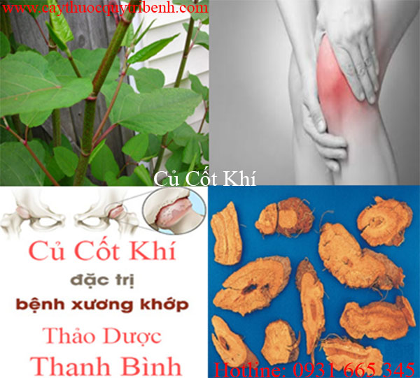 mua-cu-cot-khi-uy-tin-tai-tp-hcm