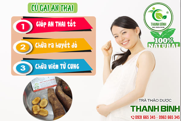 củ gai an thai thanh bình