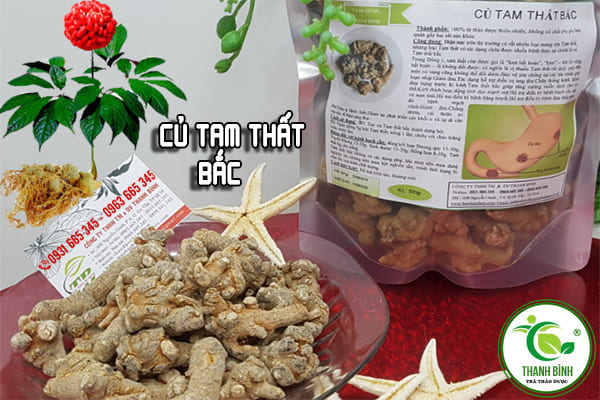 củ tam thất thanh bình