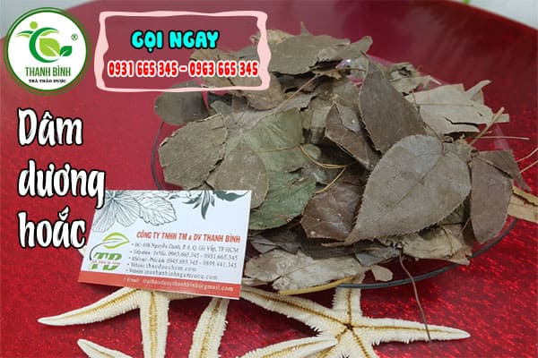 dâm dương hoắc thanh bình