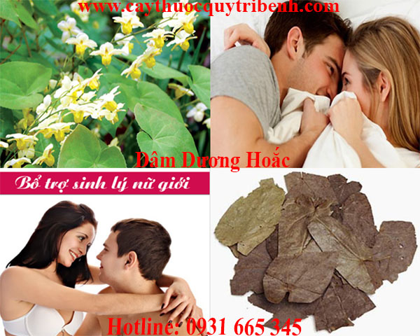 dâm dương hoắc