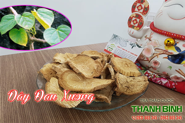 day-dau-xuong-thanh-binh-1