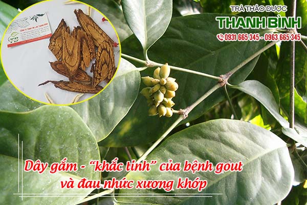 day-gam-thanh-binh