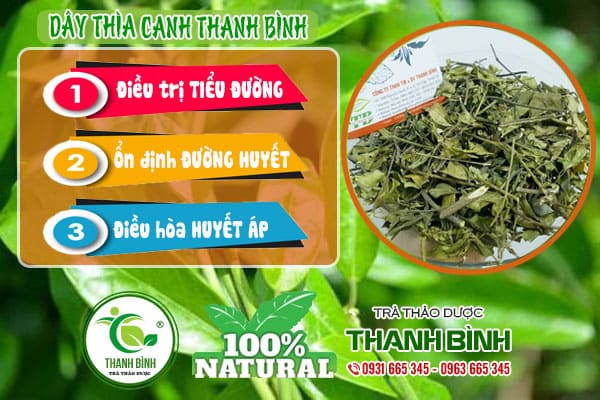 dây thìa canh thảo dược thanh bình