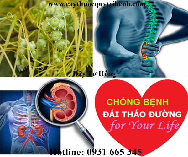 dây tơ hồng