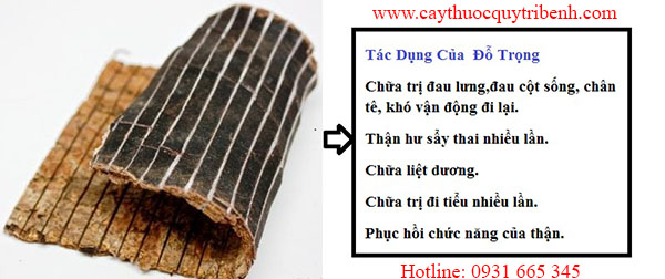 đỗ trọng
