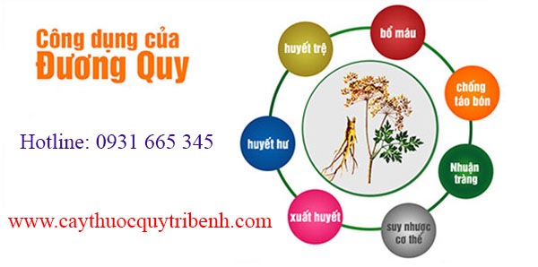 mua-duong-quy-uy-tin-tai-tp-hcm