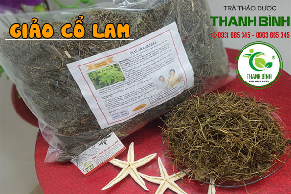 giảo cổ lam thanh bình