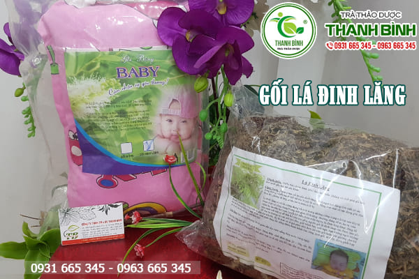 gối lá đinh lăng thảo dược thanh bình